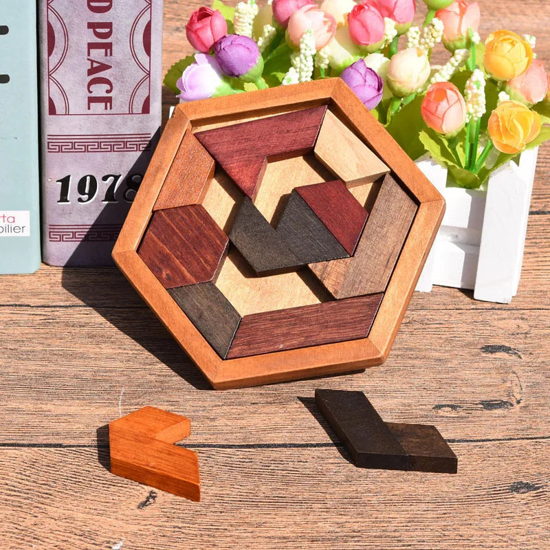 Hexagonal Wooden Puzzles IQ Game Educational Toys